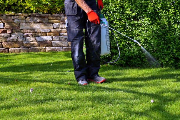 Best Commercial Pest Control  in Coats Bend, AL